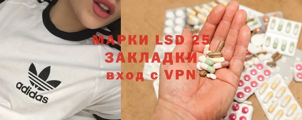 стафф Алзамай
