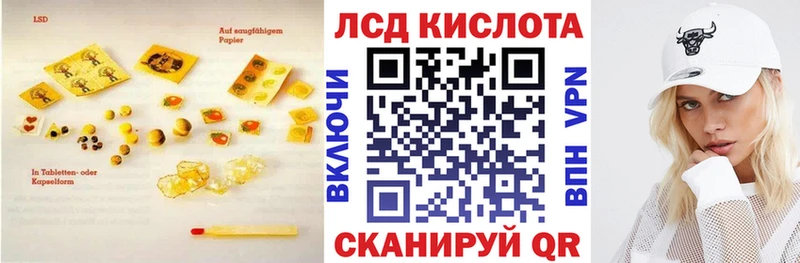 закладки  Княгинино  ЛСД экстази ecstasy 